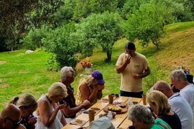 Visite des olives du nord de Corfou avec dégustation d'huile d'olive et meze