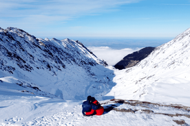 Transfagarasan amazing road trip🐻 from Brasov