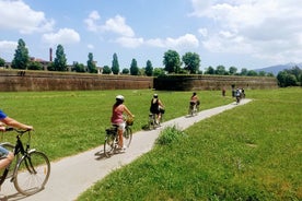 Passeio de bicicleta autoguiado de Lucca a Pisa