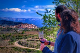 Tour Privado de Vinhos e Petróleo na Região Vitivinícola de Priorat