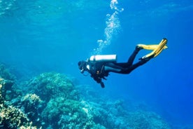 Scuba Diving Experience in Kusadasi with Instructor and Transfer