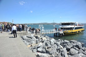 Istanbul: Bosporus- og Guldhornskrydstogt med lydguide