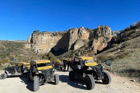 Excursion prolongée en buggy à Ronda