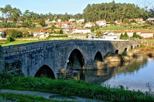 Ponte D. Zameiro