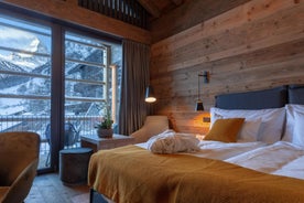 Chalet and Penthouse Zen, two Properties, 100m from Ski Lift and Piste