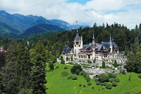  Dracula 's Castle, Peles Castle 및 Brasov - 부쿠레슈티에서 개인 당일 여행