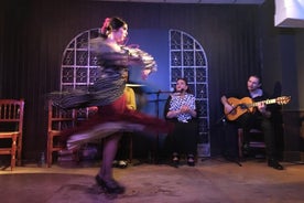 Flamenco-show med middag og workshop i Madrid