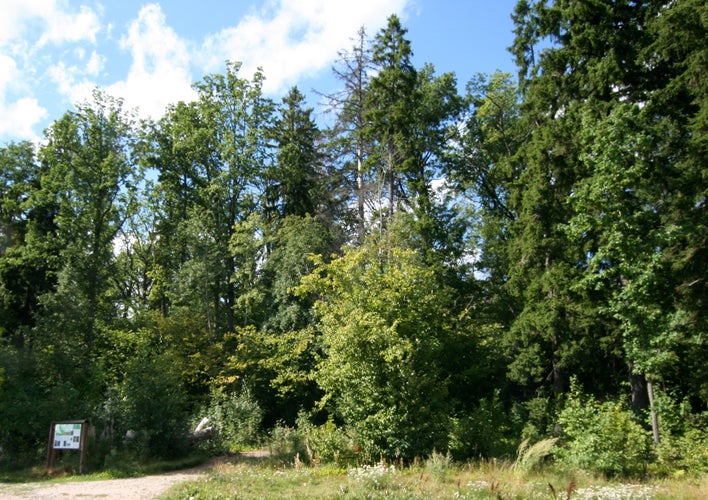 Photo of Tammisto nature reserve, Vantaa, Finland.