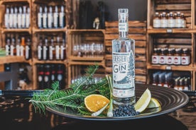 One hour gin experience course