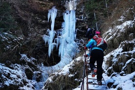 Hiking in the Transfagarasan’s Stan Valley of Carpathians