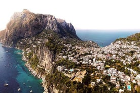 Excursion en bateau privé à Capri au départ de Rome en train