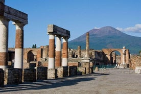 ポンペイ遺跡とヴェスヴィオのプライベートトランスファー付きのワインテイスティング