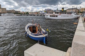 Private Boat Tour in Stockholm