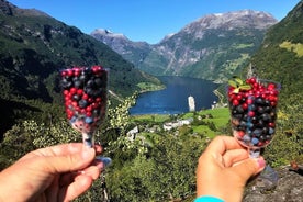 Geiranger ad Royal rute, 5 timer med besøg på en højbjerget gård