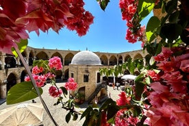 Private guided Tour of Nikosia Oldtown with Border Crossing