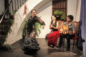 Seville: Fun class to approach Flamenco