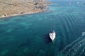 Allt innifalið Delos & Rhenia Islands ferð allt að 12 pax (ókeypis flutningur)