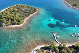 Blue Lagoon Half Day Adventure - Private Schnellboot-Tour