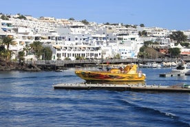 Sunset Dolphin Watching Trip on board the Biosfera Jet