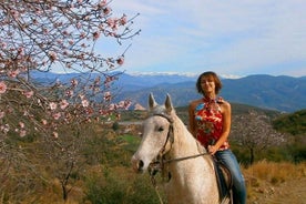 Promenade à cheval de 3 heures au départ d'Alanya