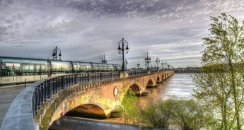 Bordeaux Vineyard Walk