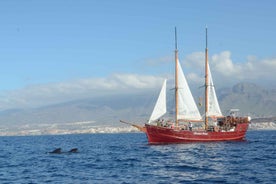 Los Cristianos: Siðferðislegt hvalaskoðun á sjóræningjaskipi & sund