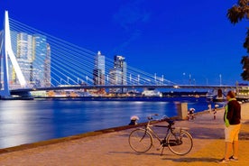 Einkatúr frá Amsterdam til Den Haag, Rotterdam og Kinderdijk