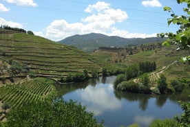 Valle del Douro autentica 