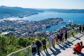 Private guided tour - City sightseeing, Bergens top attractions