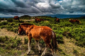 2ja Buggyferð • Arcos de Valdevez • Peneda Gerês