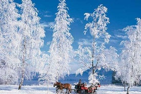 From Salzburg: 8-hour Horse-Drawn Tour w/ 2-hour Sleigh Ride