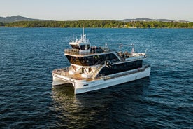 Crucero guiado por el fiordo de Oslo en catamarán eléctrico silencioso