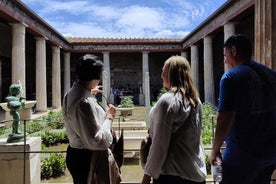 Private Guided Tour of Pompeii Excavations