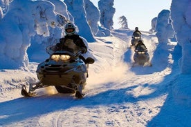 Lappland Motorschlitten Safari von Levi