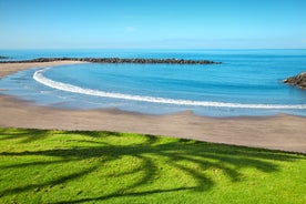 photo of aerial view of the beach and lagoon of Los Cristianos resort on Tenerife, Canary Islands, Spain.