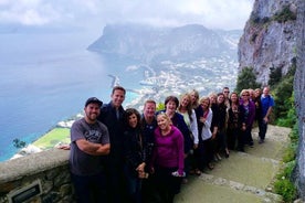 Capri and Blue Grotto Day Tour from Naples or Sorrento