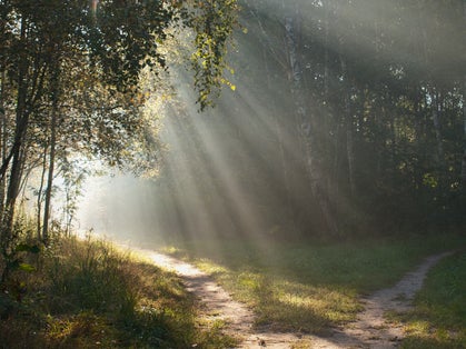 Morning streaks. Lodz, Poland - September 21, 2012 Spectacular, morning streaks of sunlight in the city park in Lodz.