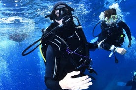 Refreshment Diving Course Experience in L'Estartit