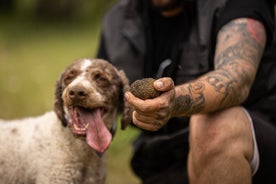 Caça de trufas em Meteora