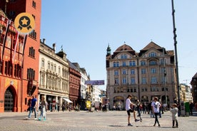 Utforska Basel på 1 timme med en lokal