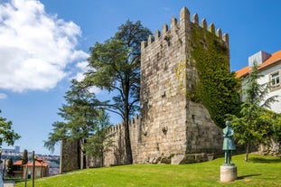 Fernandine Walls of Porto