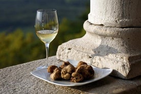 Sabores de la experiencia de degustación de Istria de Trieste