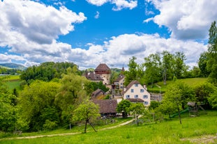 Wildenstein Castle