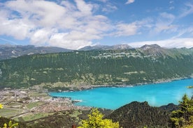 (KTG361) - Interlaken dagsutflykt med buss från Genève