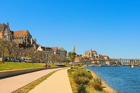 Aspectos destacados turísticos de Auxerre, un tour privado de medio día (4 horas) con un local