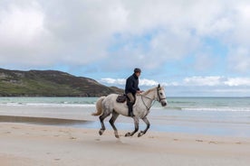 Westport: Beach and Countryside Guided Horse Ride