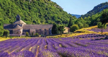 Provence guided-Ebiketour | France: A Sea of Colors | 8 days