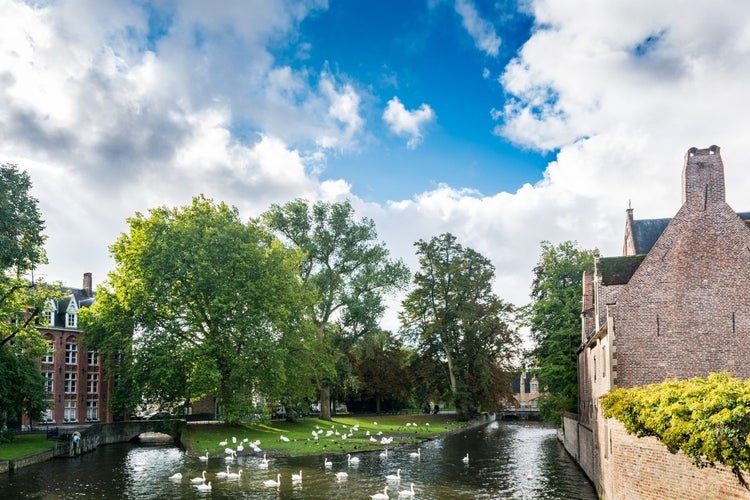 Things to do in Bruges, Spring .jpg