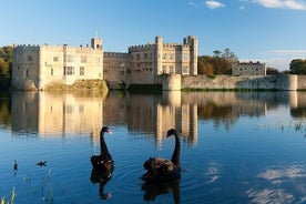 Dover Cruise Ship to Leeds Castle via Canterbury, Villages & back