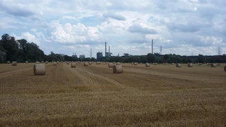 Glück Auf! Urlaub und Erholung in Duisburg